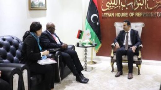 رئيس البرلمان الليبى المكلف يبحث مع مسؤول أممى إجراء الانتخابات 