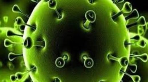 الكويت تسجل 2246 إصابة جديدة بفيروس كورونا خلال 24 ساعة