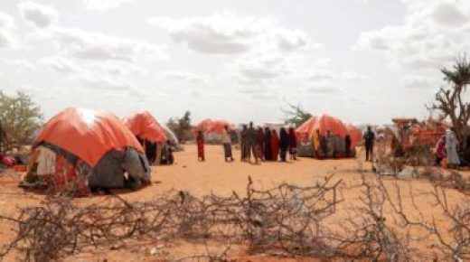 بدء توزيع المساعدات الإغاثية الإماراتية لدعم متضررى الجفاف بالصومال