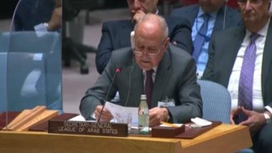 أبو الغيط يطالب إسبانيا بدعم طلب فلسطين الحصول على عضوية كاملة بالأمم المتحدة