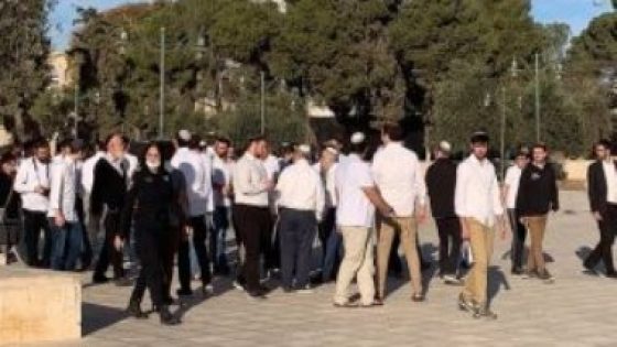 عشرات المستوطنين الإسرائيليين يقتحمون “الأقصى” فى حراسة شرطة الاحتلال