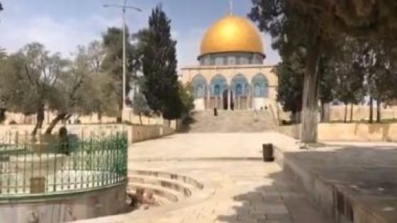 قوات الاحتلال الإسرائيلى تعتقل مدير المسجد الأقصى