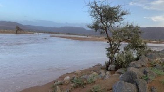 موريتانيا: جرحى وأضرار مادية بسبب العواصف الرعدية والفضيانات