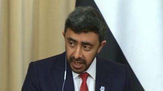 وزير خارجية الإمارات يؤكد دعم بلاده لتحقيق الأمن والاستقرار فى اليمن