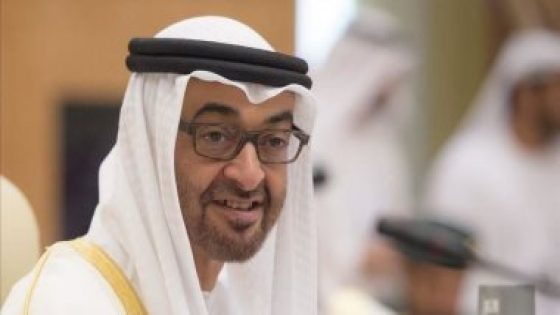 رئيس الإمارات يتلقى تهانى قادة عدد من الدول العربية بالتعيينات الجديدة