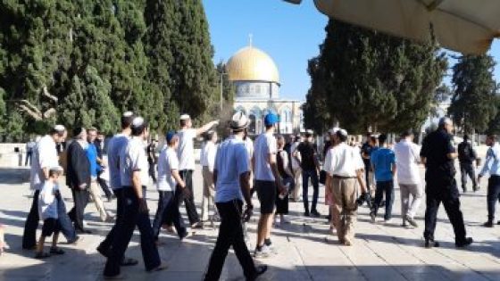 مستوطنون إسرائيليون يخربون مسجدًا فى البلدة القديمة من مدينة “الخليل”