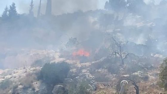 مستوطنون إسرائيليون يحرقون محاصيل زراعية فى ترمسعيا شمال رام الله