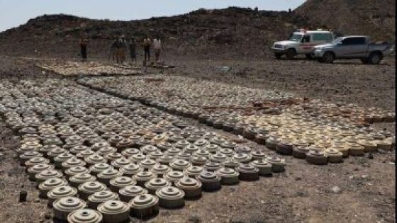 مشروع “مسام” ينتزع 719 لغمًا فى اليمن خلال أسبوع