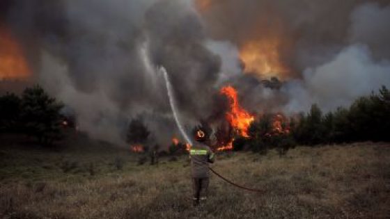 تونس.. حريق هائل يجتاح غابات أقصى شمال غرب البلاد