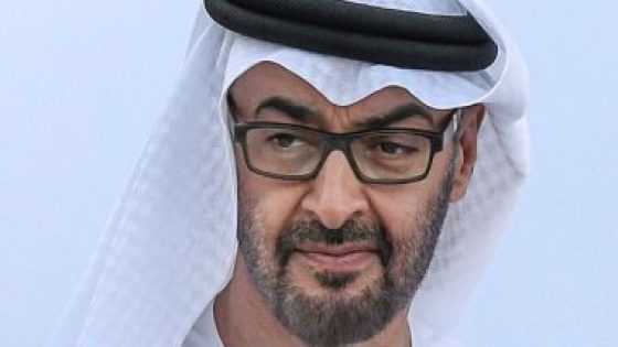 رئيس الإمارات: نقدر موافقة قادة “بريكس” على ضم بلادنا للمجموعة