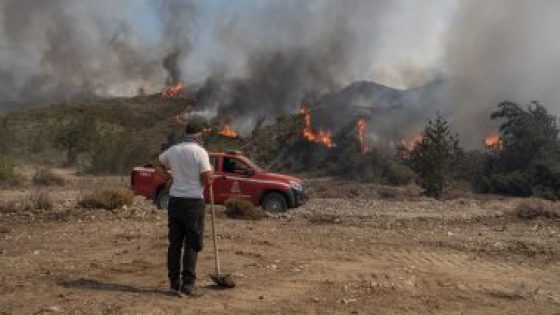 الدرك الجزائري يضبط متهمين بإشعال النار في غابات ولاية بجاية