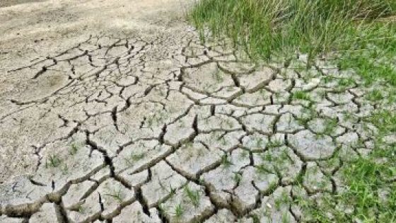 بسبب الجفاف.. تونس تُمدد حظر استخدام المياه الصالحة للشرب فى الزراعة