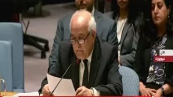 مندوب فلسطين بالأمم المتحدة: وقف إطلاق النار في غزة السبيل الوحيد لإنهاء جرائم إسرائيل