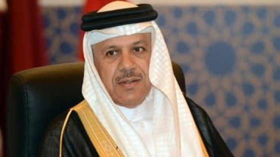 وزير خارجية البحرين والمفوض السامى لحقوق الإنسان يبحثان جهود وقف الحرب بغزة