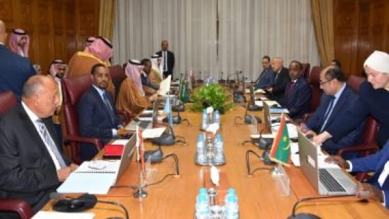 أبو الغيط يشارك بالاجتماع الأول لمجموعة العمل الوزارية العربية المعنية بدعم الصومال