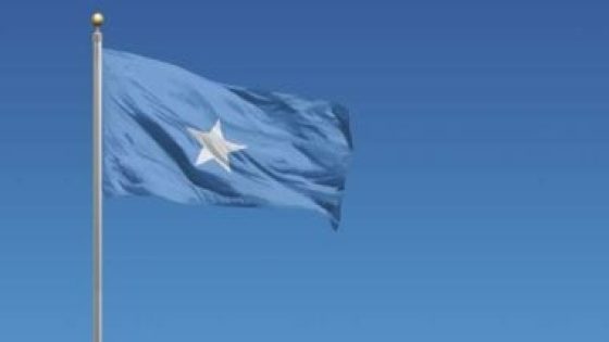 الصومال يشهد تقدمًا جيدًا في القضاء على مرض السل